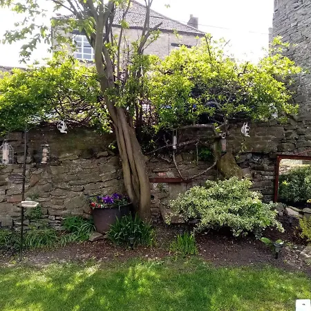 Отель The Dante Arms 5*